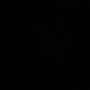 Meet your Posher, Ross